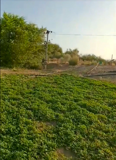 7Q48+7J, Pinan, Rajasthan 301413, India