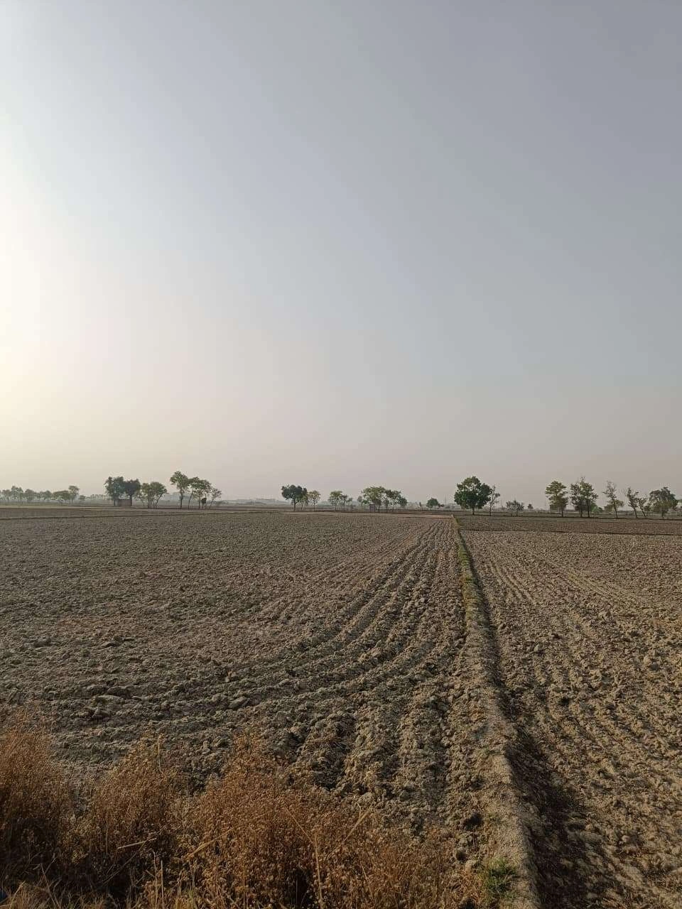 Tentigaon, Uttar Pradesh, India