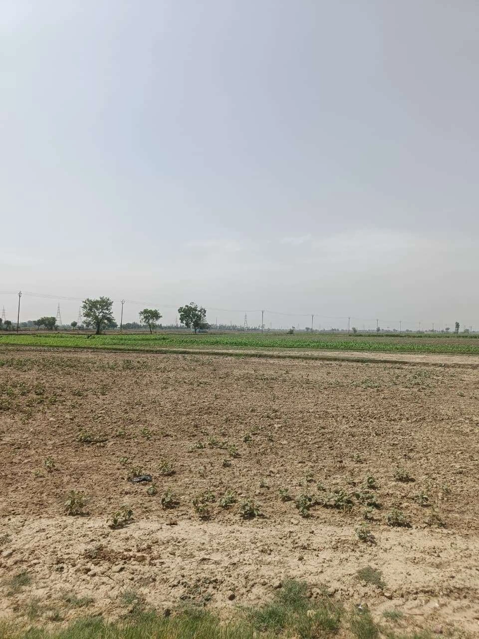 Aou, Rajasthan, India