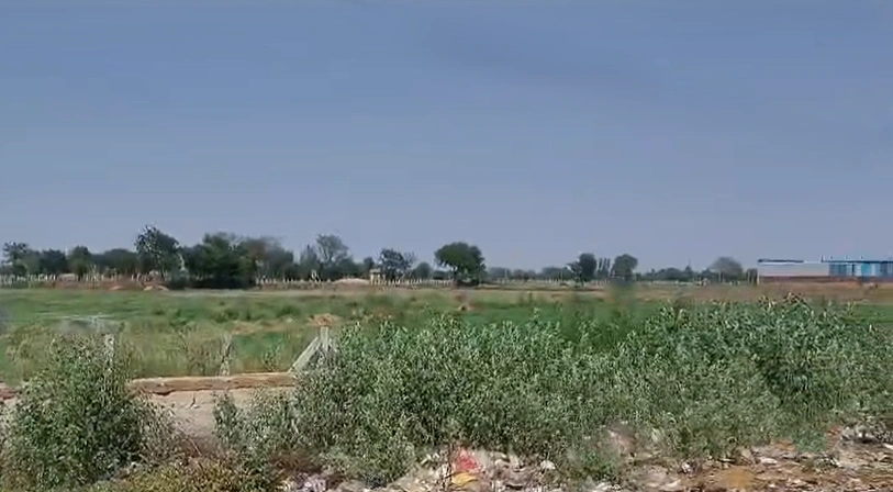 Pirthla, Haryana, India