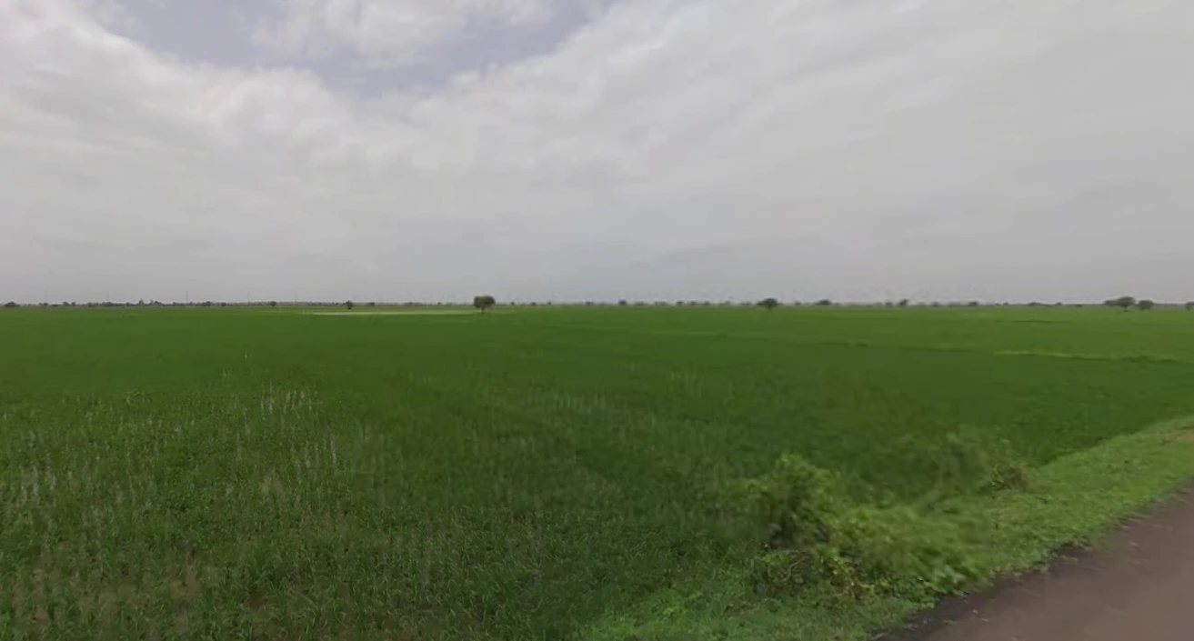 Nandura, Maharashtra 443404, India