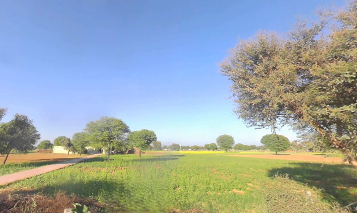 Nangal Kalan, Rajasthan 303712, India