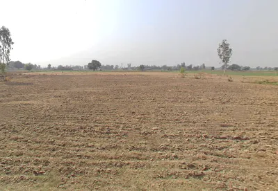 Tilhar, Uttar Pradesh 242307, India preview 3