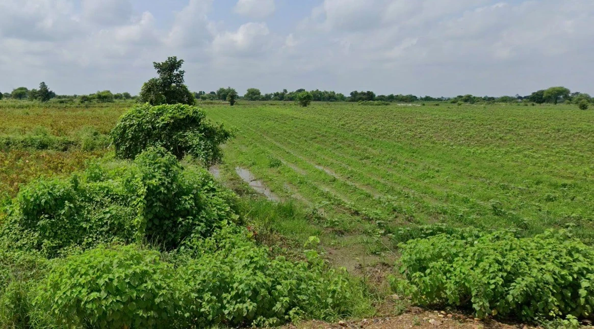 Umariya, Chhattisgarh 492101, India