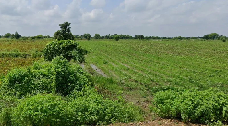 Umariya, Chhattisgarh 492101, India preview 3