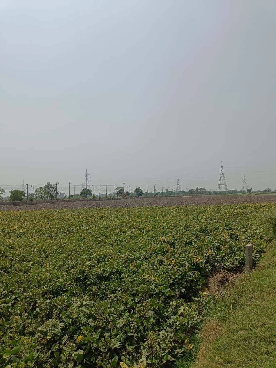 Sahar, Uttar Pradesh, India