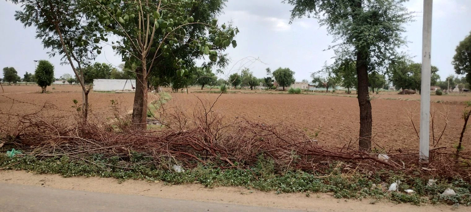 Bai Ka Bas, Rajasthan 301001, India