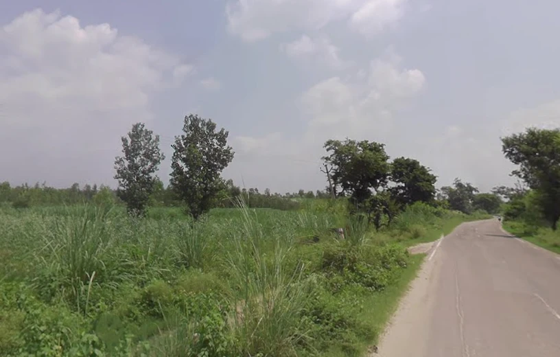 Behat, Uttar Pradesh 247121, India