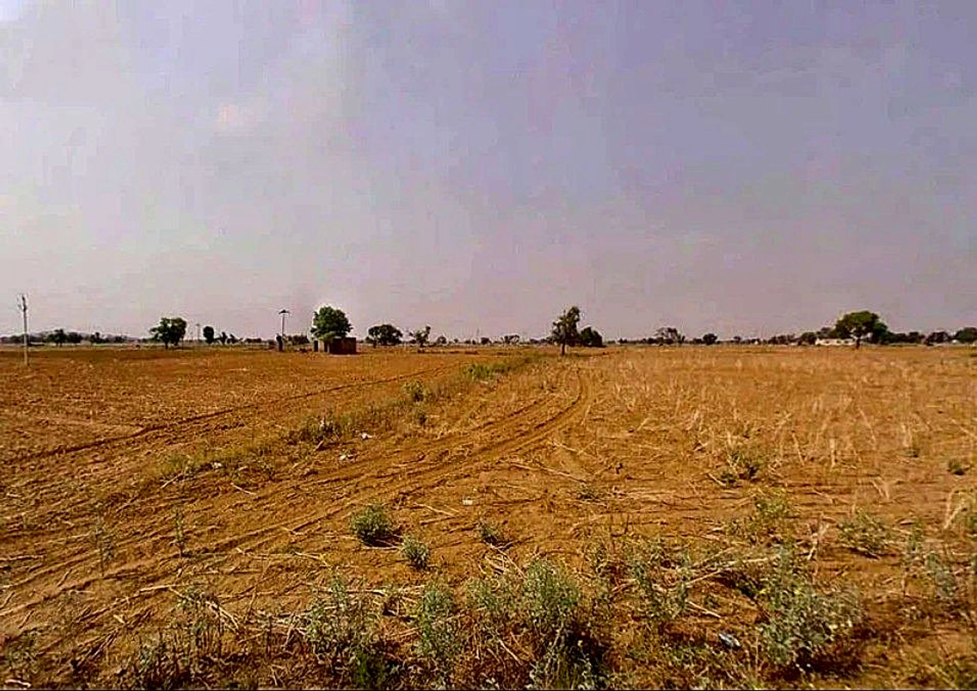 Dhoblai, Rajasthan 303712, India