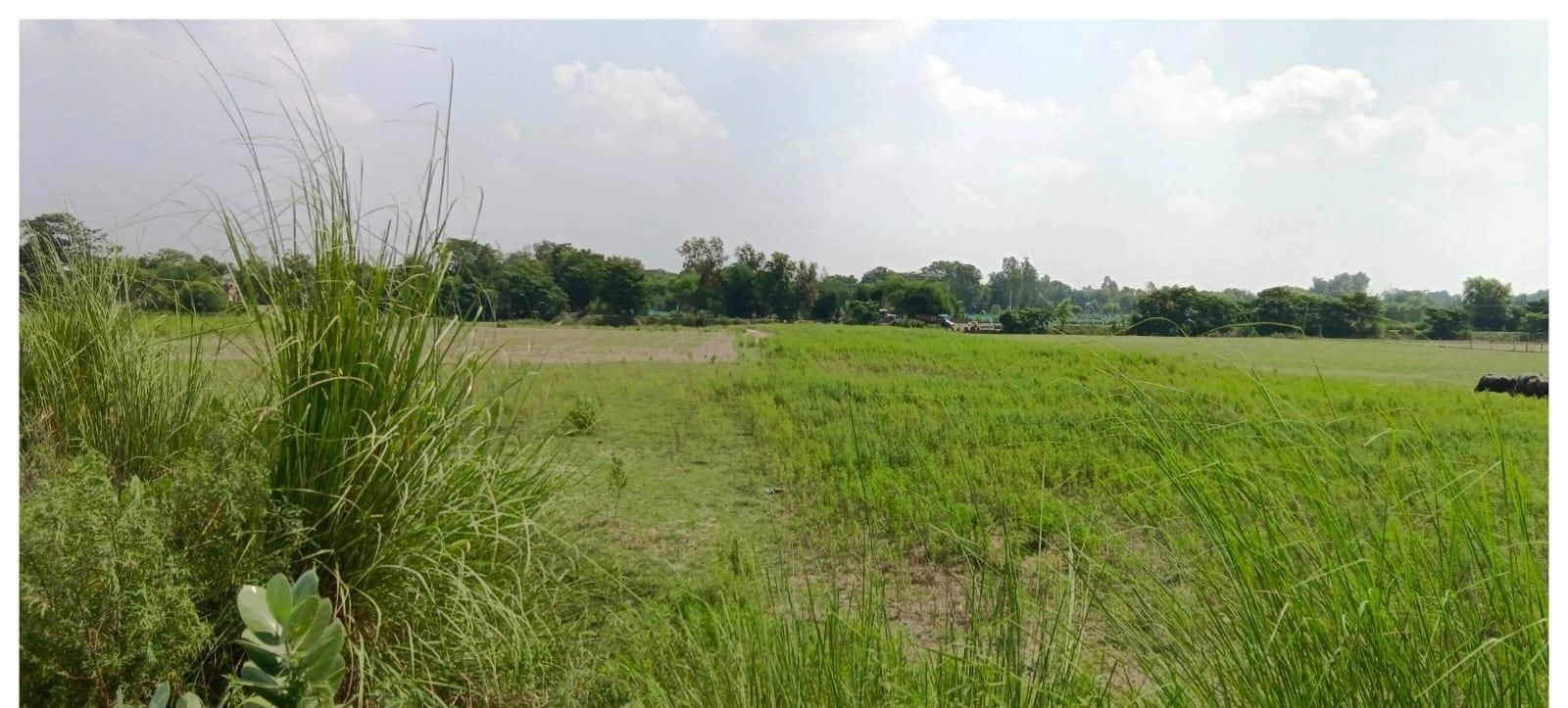 P7F2+7Q Sirisanda, Ayodhya, Uttar Pradesh, India