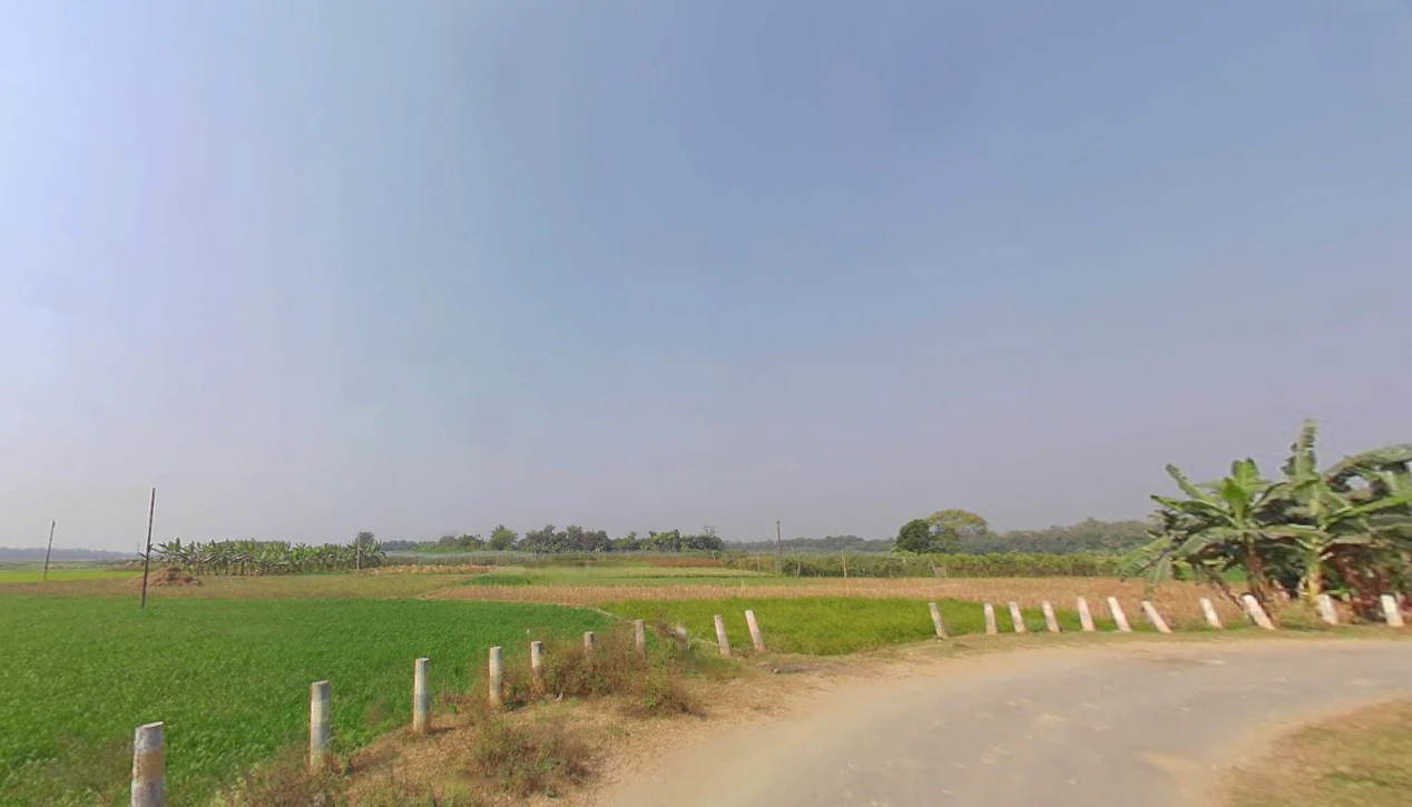 Faridpur, West Bengal 742303, India