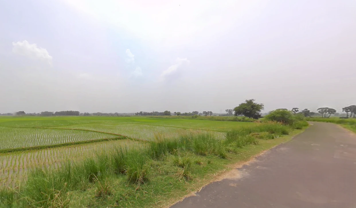 Santipur, West Bengal 741404, India