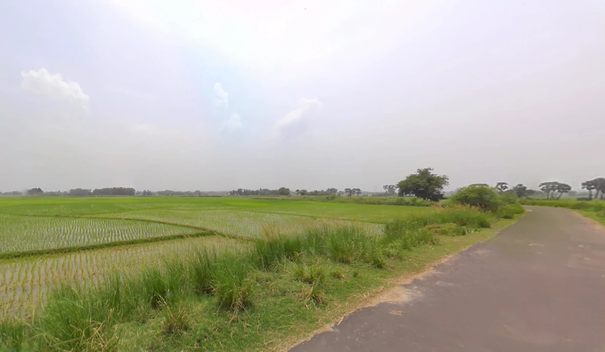 Santipur, West Bengal 741404, India