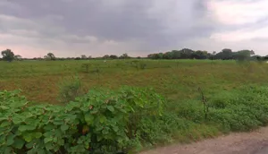 Mawai Buzurg, Uttar Pradesh 210001, India preview 3