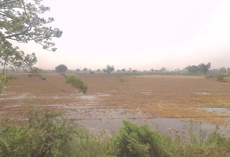 Khurja - Shikarpur Rd, Murari Nagar, Khurja, Uttar Pradesh, India preview 2