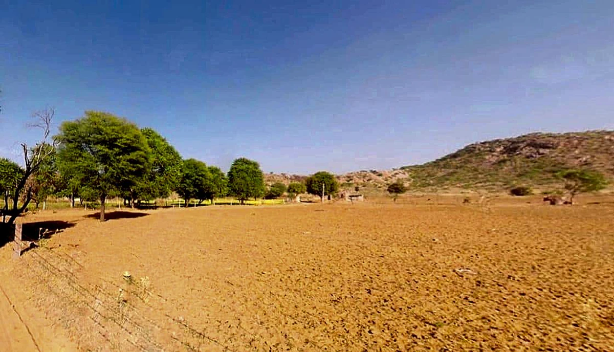 Tekri, Madhya Pradesh 481222, India