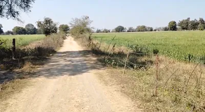 FX3H+49G, Dabdarajput, Madhya Pradesh 456668, India preview 3