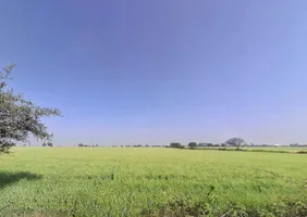 WR7M+332 Neem chok, Baloda, Madhya Pradesh 453551, India preview 2