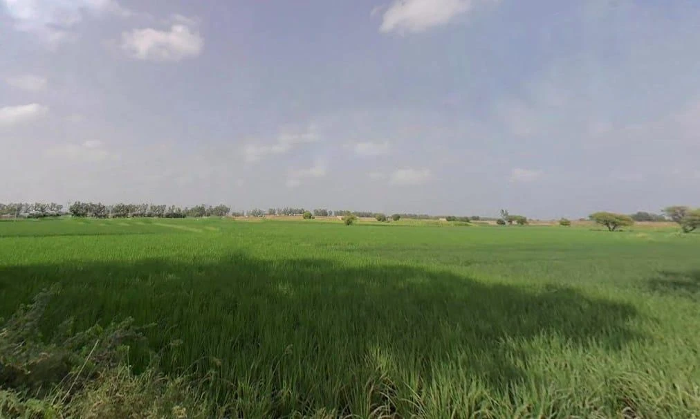 Bawal, Haryana, India