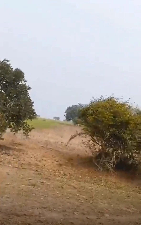 2P37+8MP, Mandsaur, Khejdiyabhop, Madhya Pradesh 458888, India