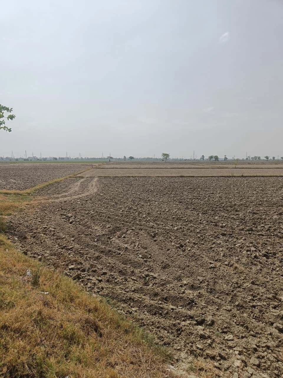 Aou, Rajasthan, India