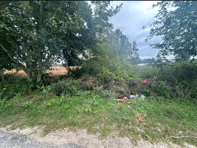 8M2H+VX, Kodalagurki, Karnataka 562164, India preview 3