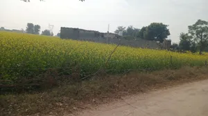 Ghat, Rajasthan, India preview 2