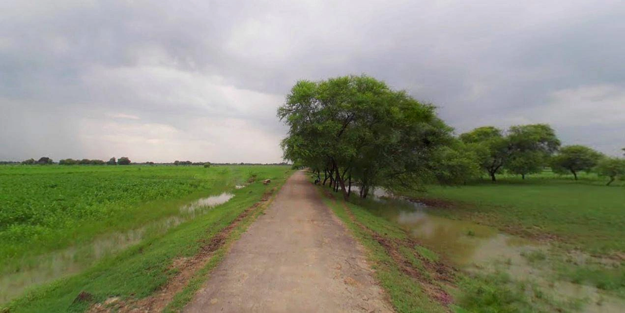 Sri Ganganagar, Rajasthan, India