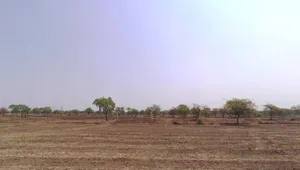 Bemetara Nawagarh Rd, Andhiyarkhor, Chhattisgarh, India preview 2