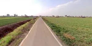 March Marchi Rd, Paijawa, Patna, Bihar 800009, India preview 2