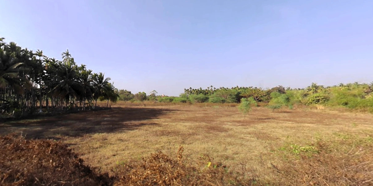 Nagavalli, Karnataka, India