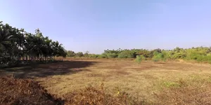 Nagavalli, Karnataka, India preview 2