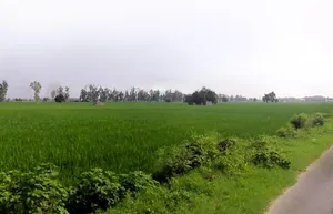 Tohana, Haryana 125120, India preview 3