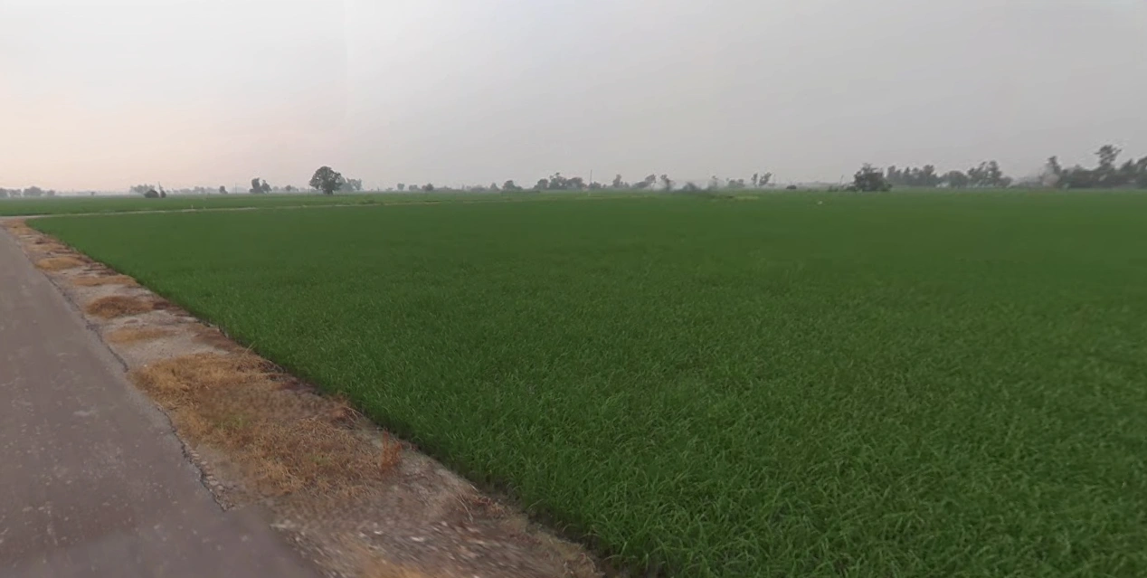 Bangla, West Bengal 722136, India