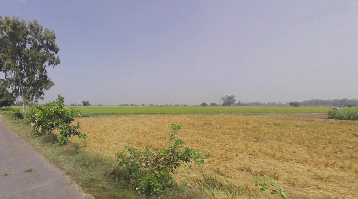 Lehragaga, Punjab 148031, India
