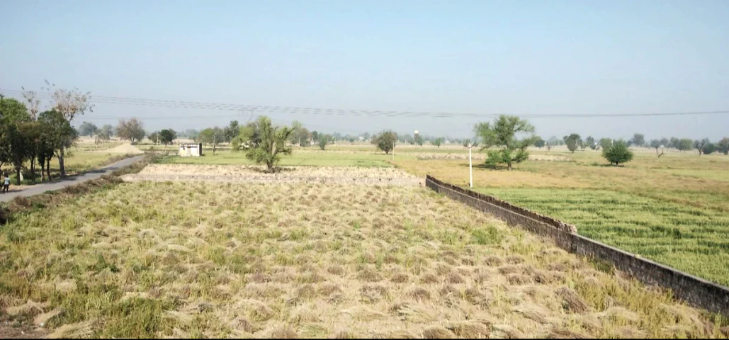 Deenar, Lachhmangarh, Alwar, Rajasthan, India