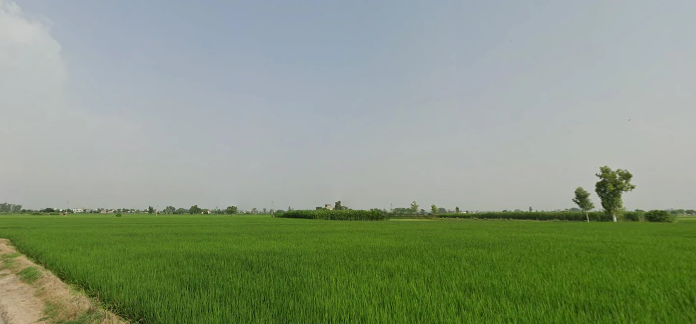 Kathu Nangal, Punjab 143502, India