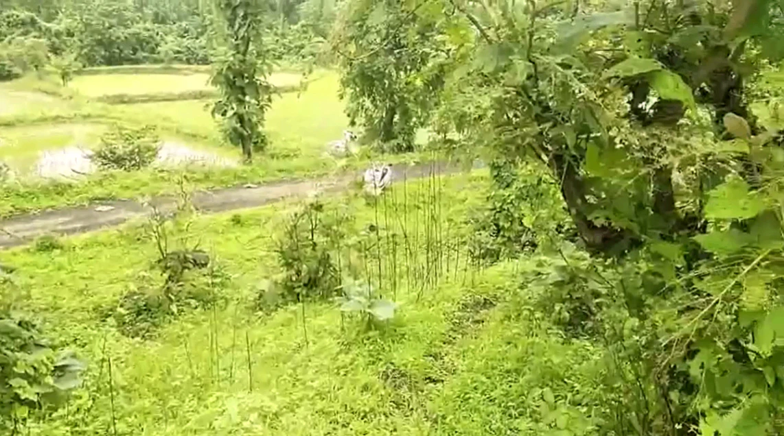 M6FH+4QR, Palghar, Shele, Maharashtra 421303, India - Photo 3