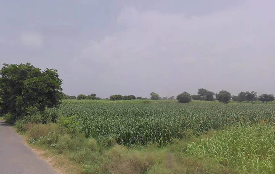 Khokiyaka, Haryana 121103, India