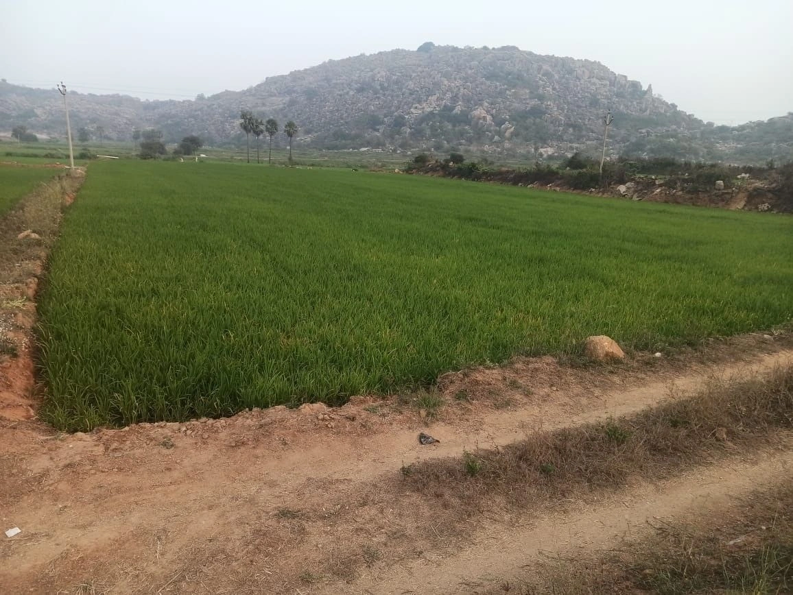 Indrapalanagar, Telangana 508112, India