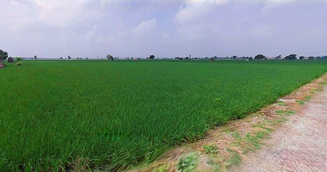 Rohtak, Haryana, India
