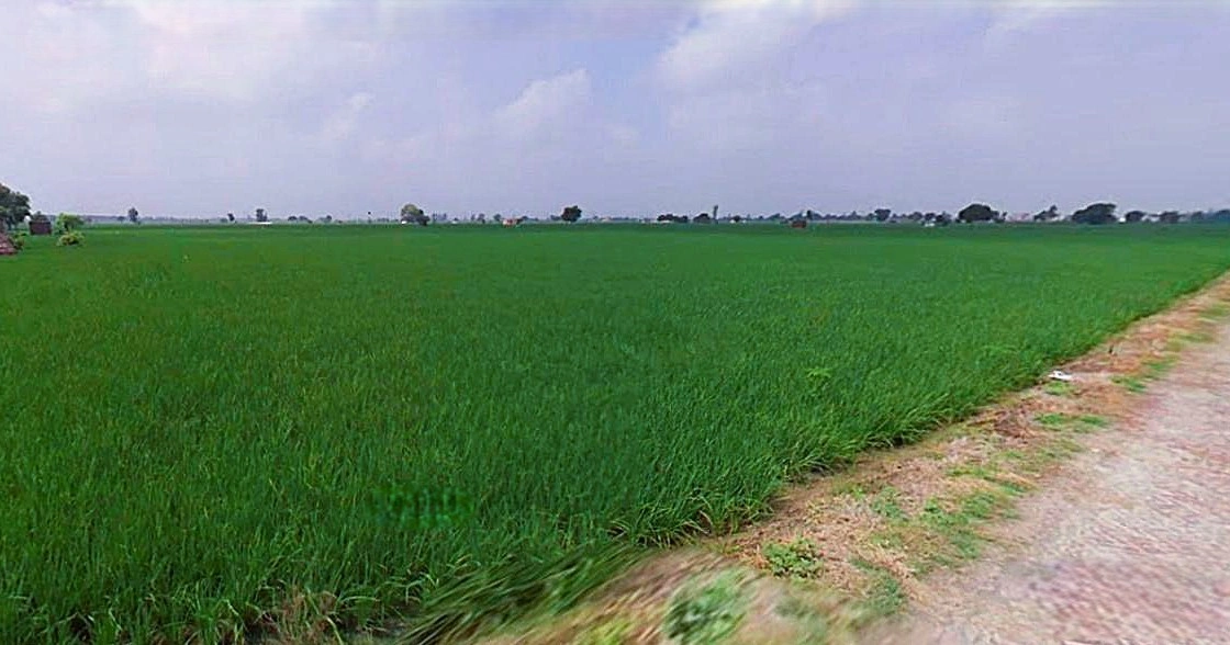 Rohtak, Haryana, India