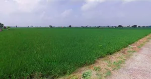 Rohtak, Haryana, India preview 2