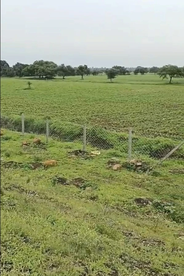 Pipalya Dhuma, Madhya Pradesh 456441, India