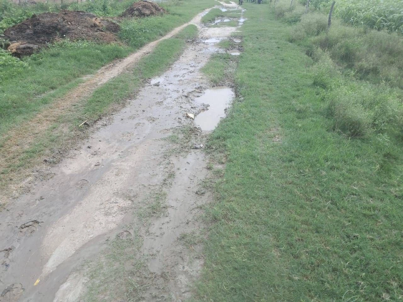 R6R9+7R Fatepur, Gonda, Uttar Pradesh, India