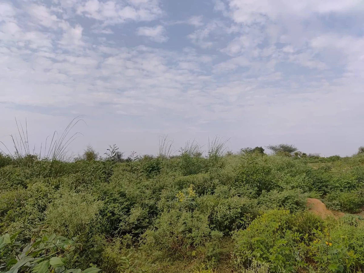 Bandhwari Rd, Balola, New Delhi, Bandhwari, Haryana 122101, India