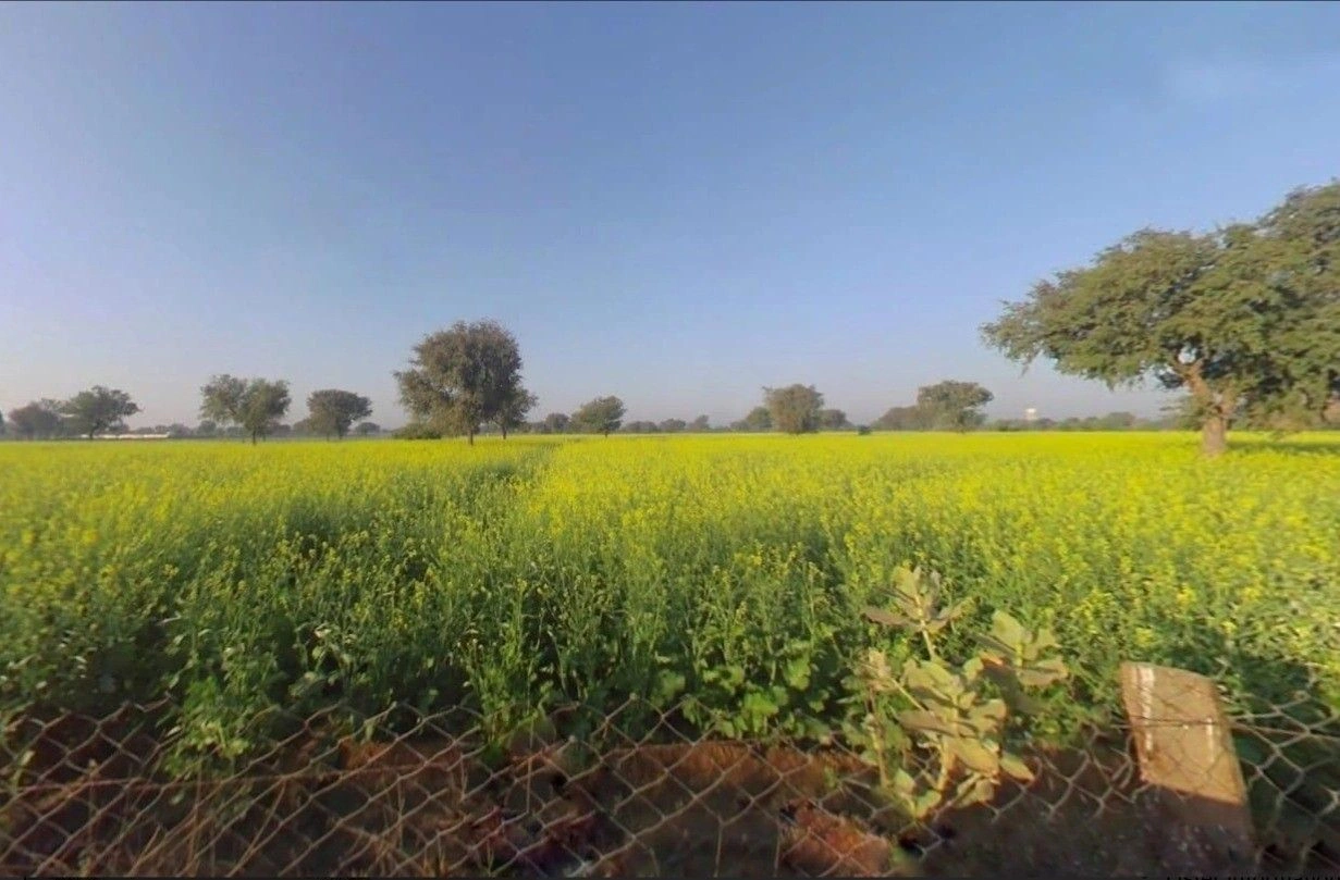 Nahariya ka bass, PV64+J4X, Jai Anandpura, Rajasthan 303903, India preview 3