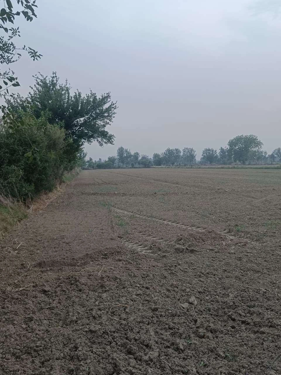 Rahmatnagar, Uttar Pradesh 226501, India