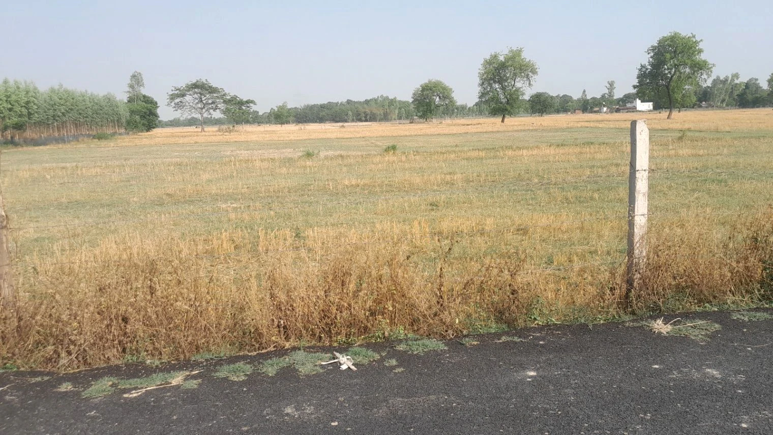 H2PR+F69, Rewati Ganj - Bikapur Rd, Aadil Pur, Uttar Pradesh 224208, India
