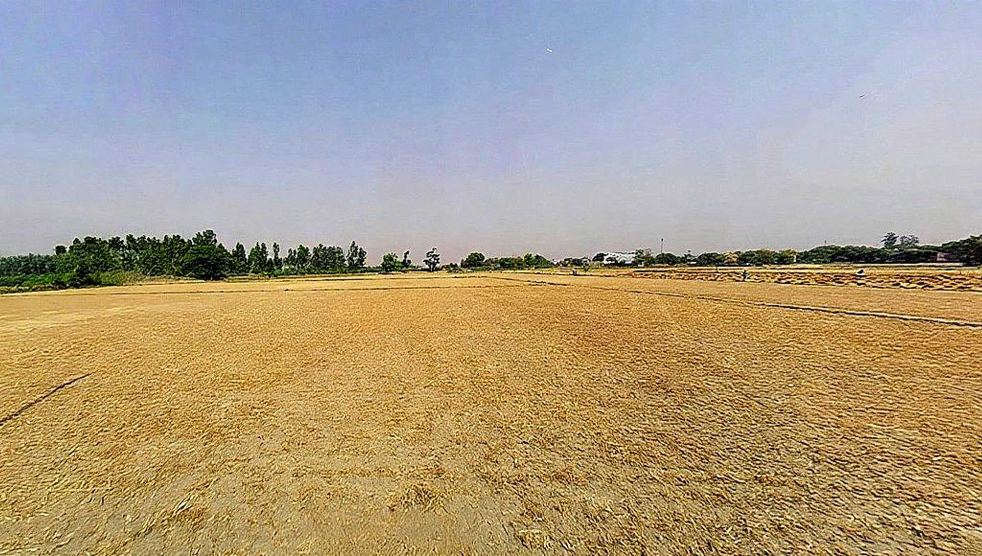 Luharli, Uttar Pradesh 201314, India